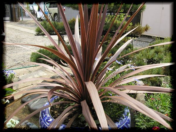 In The Garden 2 8