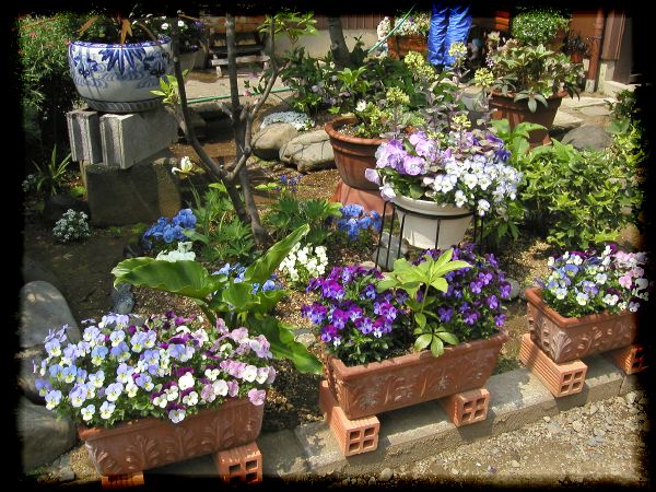 In The Garden 2 21