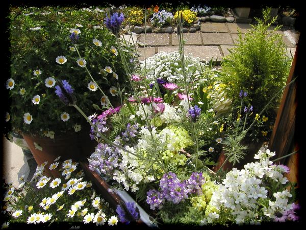 In The Garden 2 31