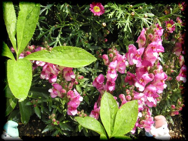 In The Garden 2 32