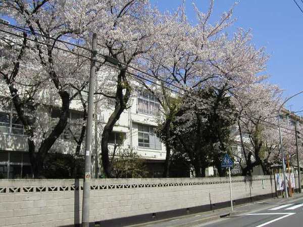 苅宿周辺・桜 21