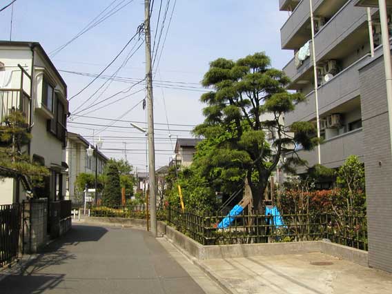 Street Corner 3