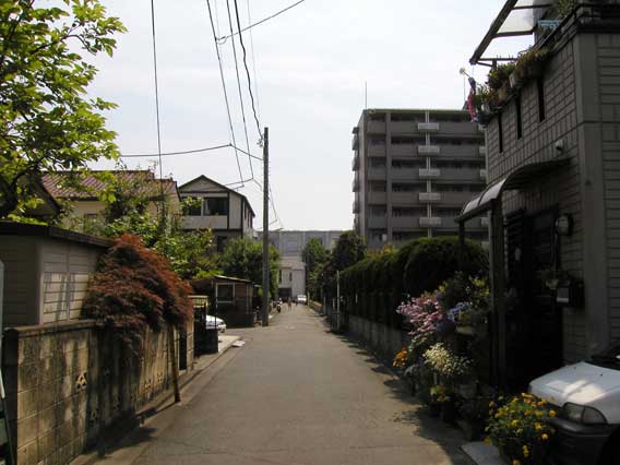 Street Corner 4