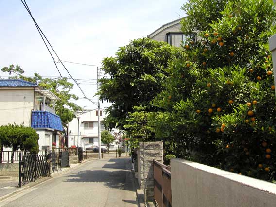 Street Corner 6