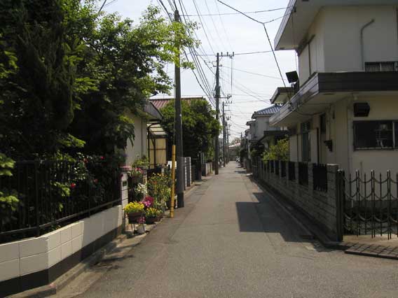 Street Corner 8