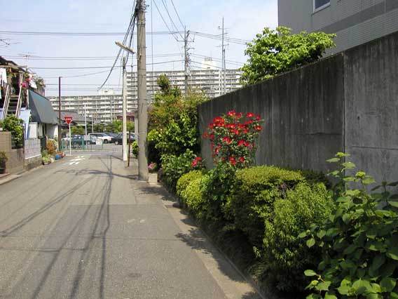 Street Corner 9