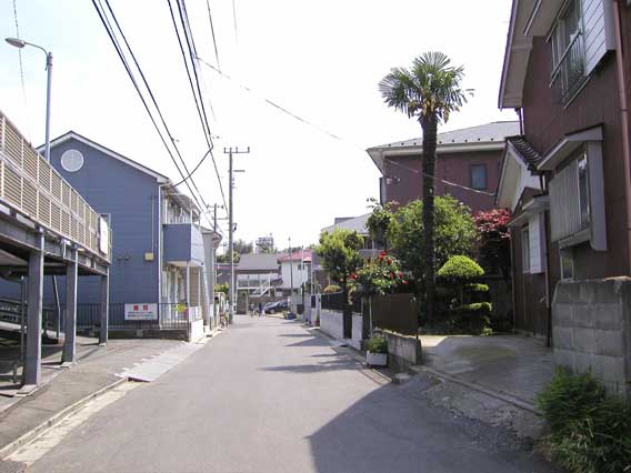 Street Corner 14