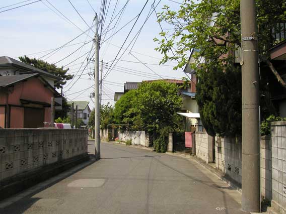 Street Corner 15