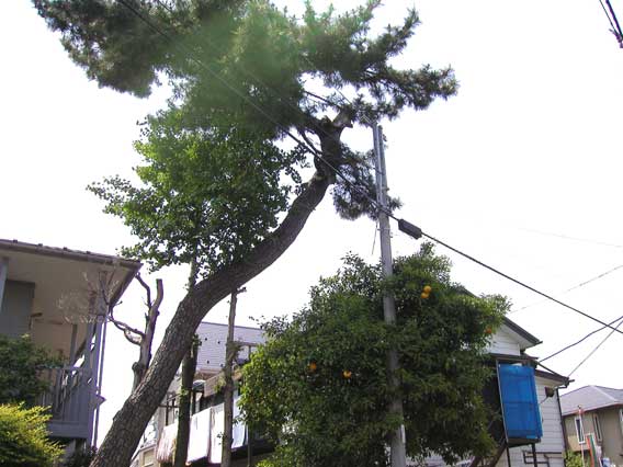 Street Corner 16