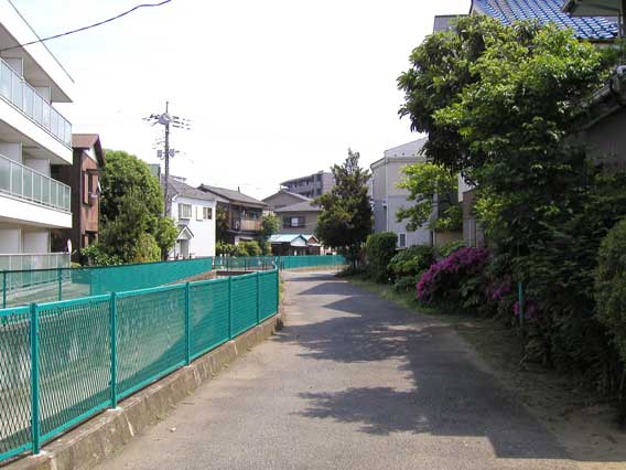 Street Corner 17