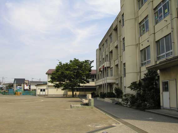 Street Corner 23
