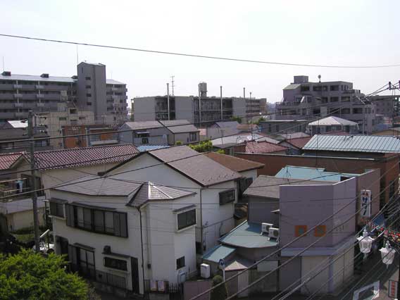 Street Corner 29